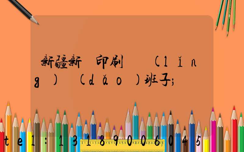新疆新華印刷廠領(lǐng)導(dǎo)班子