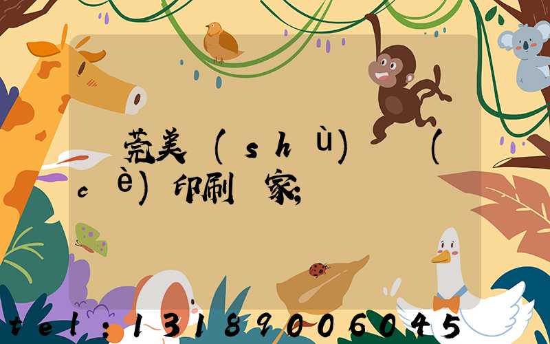 東莞美術(shù)畫冊(cè)印刷廠家