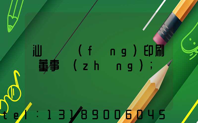 汕頭東風(fēng)印刷廠董事長(zhǎng)