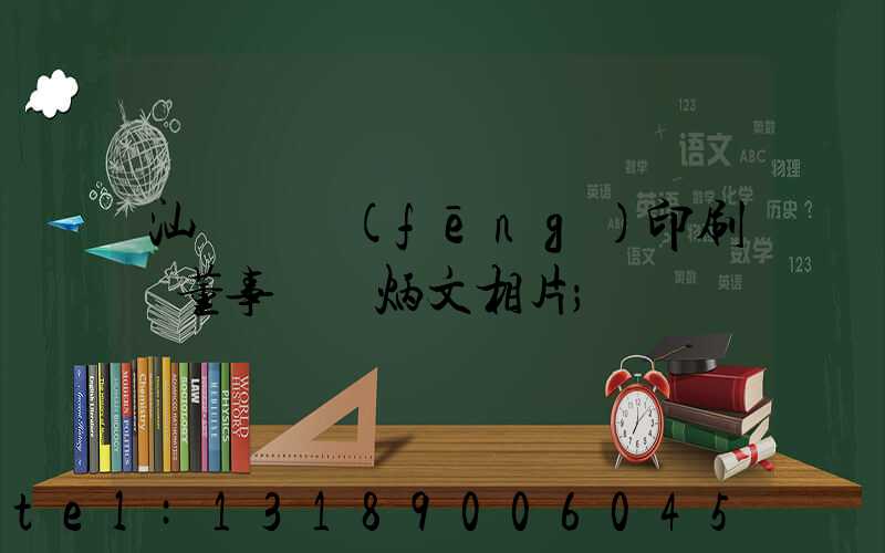 汕頭東風(fēng)印刷廠董事長黃炳文相片