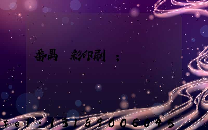 番禺藝彩印刷廠