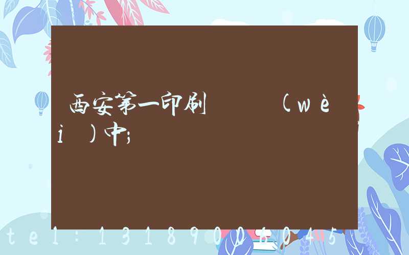 西安第一印刷廠張衛(wèi)中